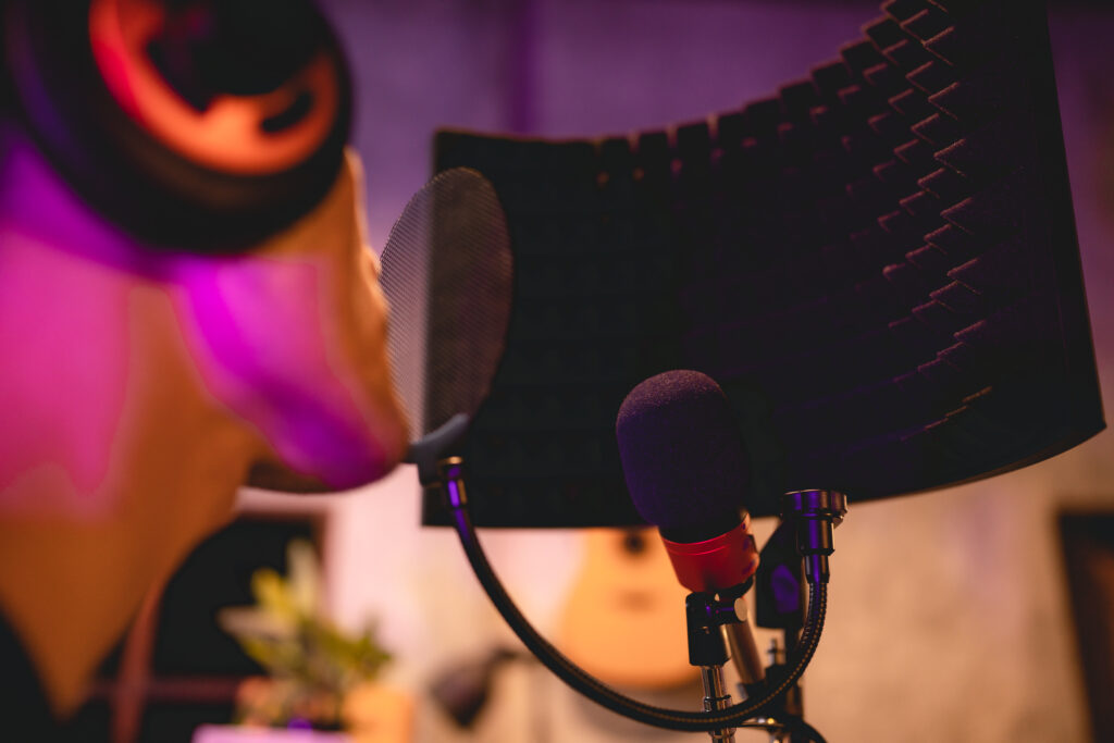 dublaj ajansları ne iş yapar