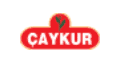 seslendirme | Caykur 183