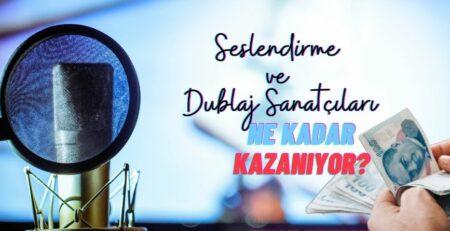 how much do voice and dubbing artists earn