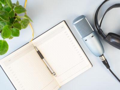 omnitronic mikrofon nedir