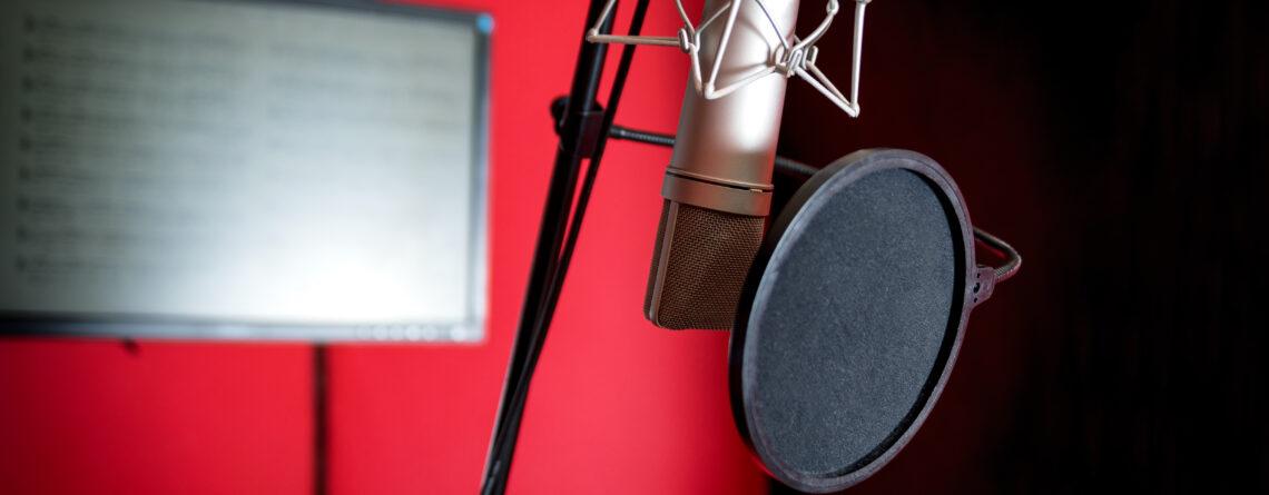 Mikrofon Kullanımı